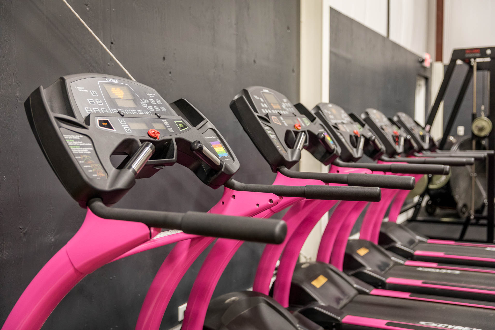 A row of treadmills in the women's only section at Iron Jungle Gym | photo by AP Imagery