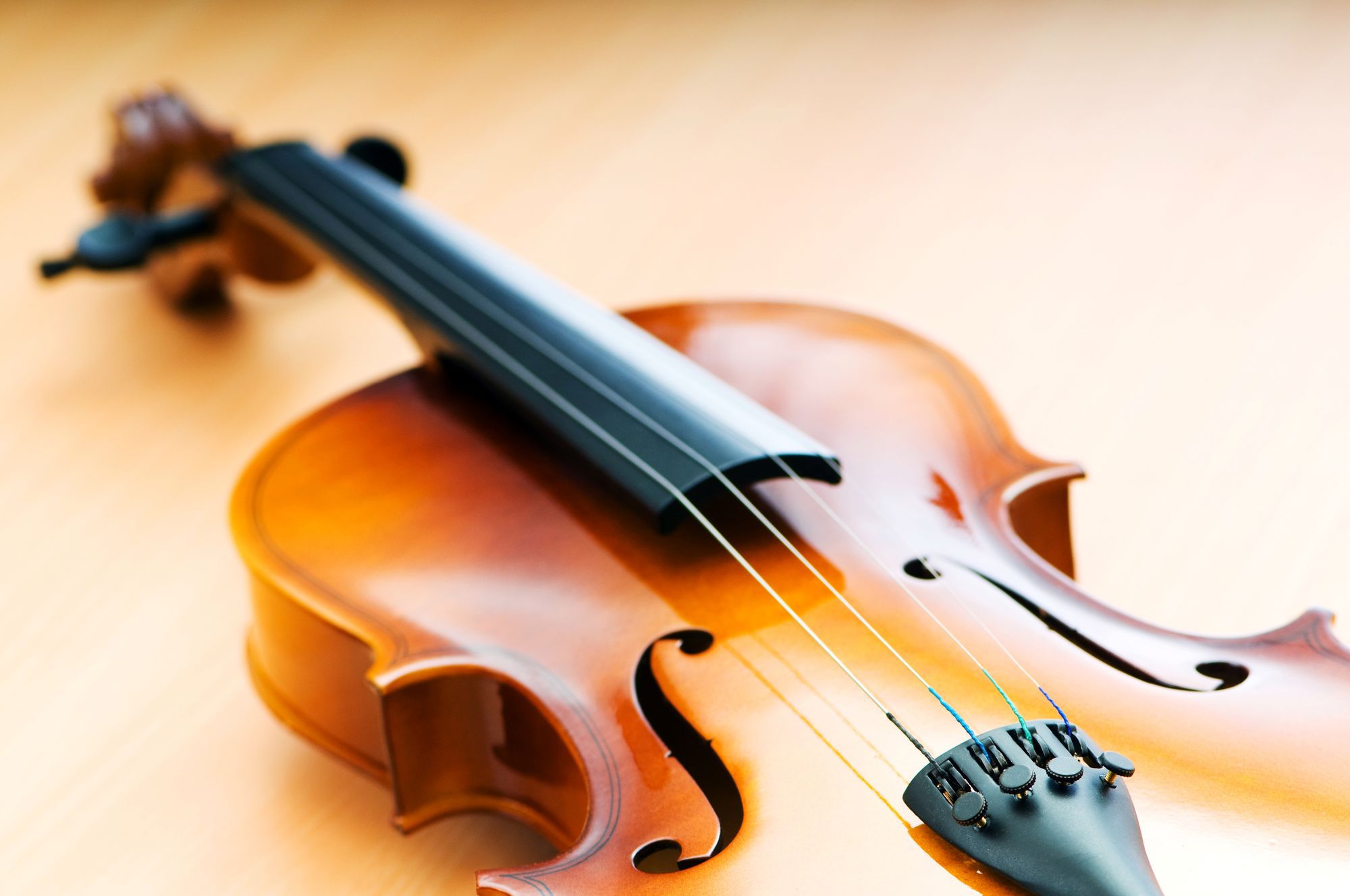 Violing In Music Concept