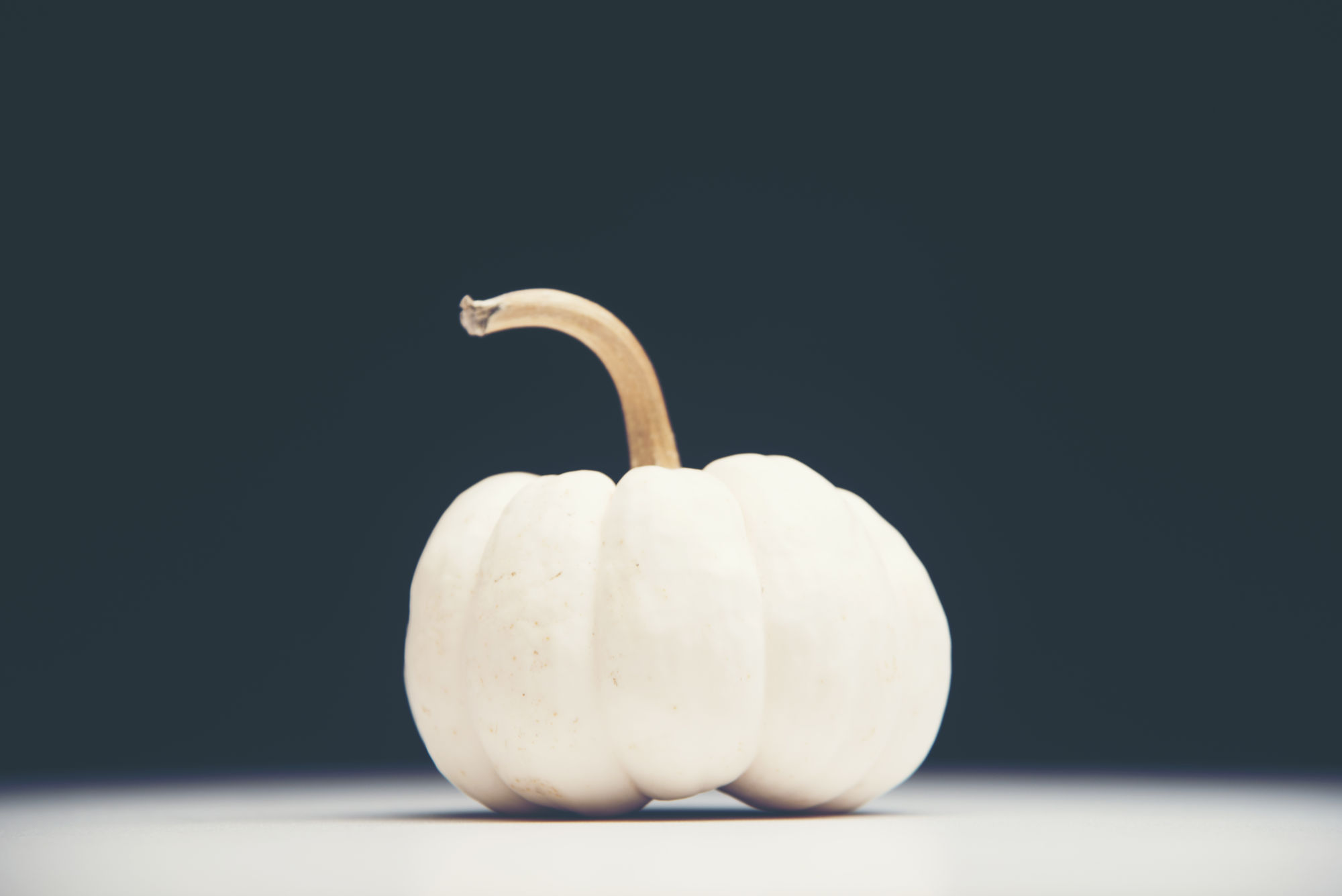 White Pumpkin Isolated On Black Background