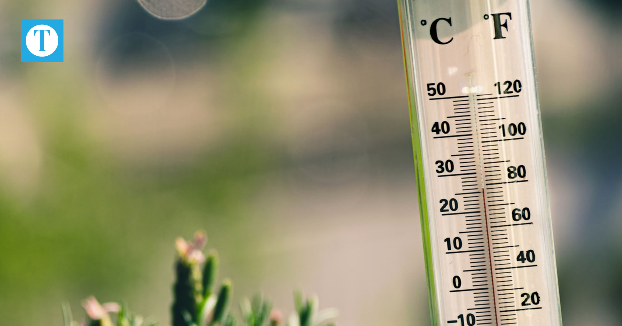 Weather outlook