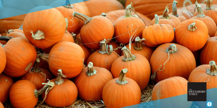 Pumpkins