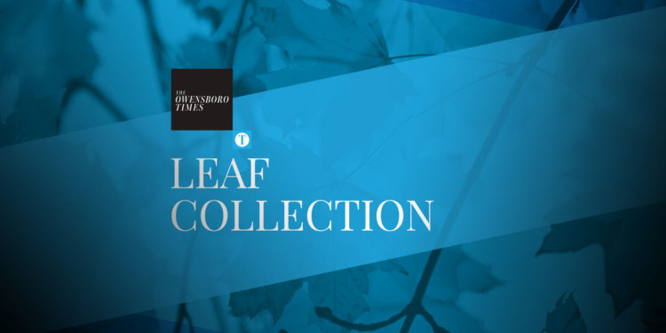 Leaf Collection