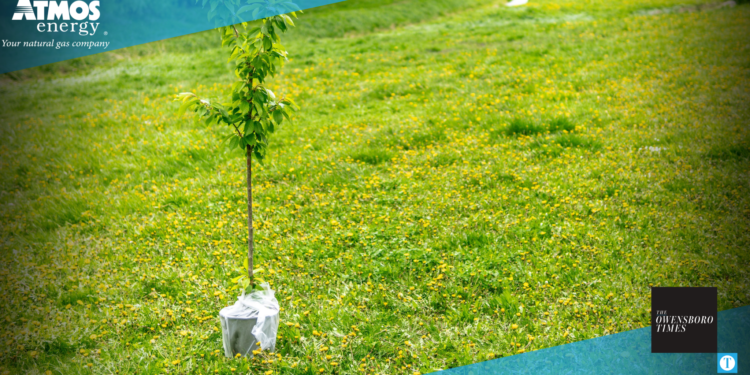 Atmos Earth Day