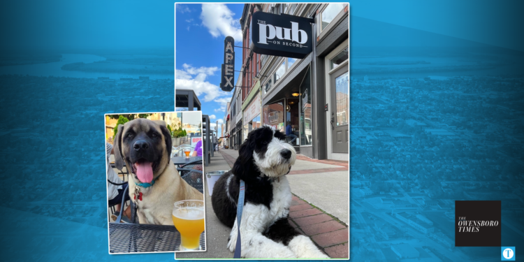 Pups & Pints