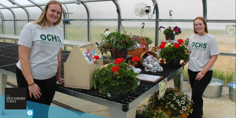 greenhouse