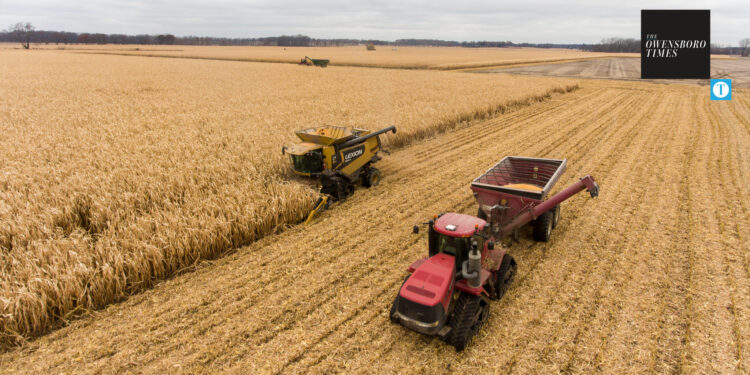 Farm