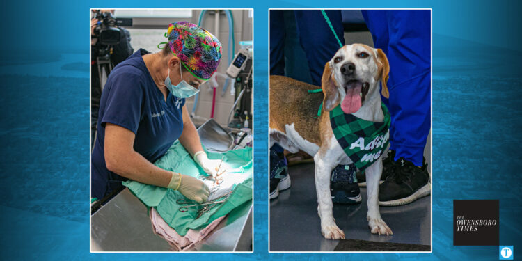 Spay Neuter
