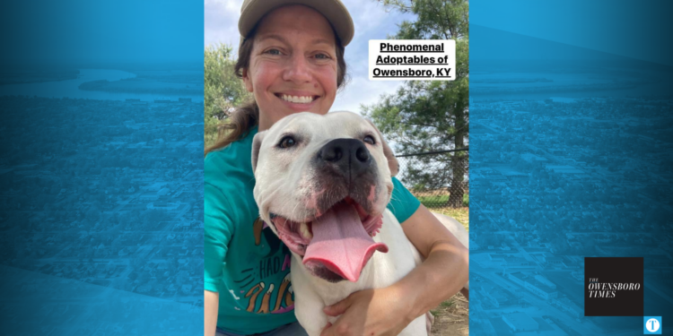 Phenomenal Adoptables